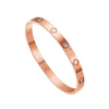 Wholesale Simple Elegant And Versatile Geometric Rose Gold Electroplated Stainless Steel Titanium Steel Bracelets Jewelry Accessories