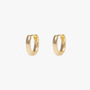 Wholesale Simple Glossy Women's Ushaped Earrings Set