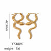 Wholesale Snakeshaped Titanium Steel And Stainless Steel Earrings For Women With Animal Pattern And Electroplating Treatment Personality Style