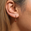 Wholesale Square Pendant Zircon Earrings Stainless Steel Light Luxury Geometric 18K Gold Plated