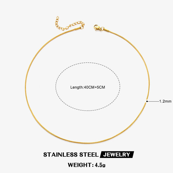 Wholesale Stainless Steel And Titanium Steel Geometric Round Bone Chain Necklace With Electroplating For Women