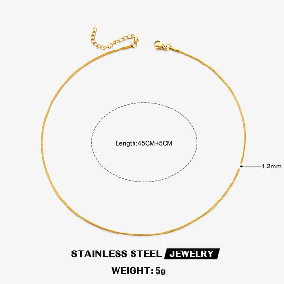 Wholesale Stainless Steel And Titanium Steel Geometric Round Bone Chain Necklace With Electroplating For Women