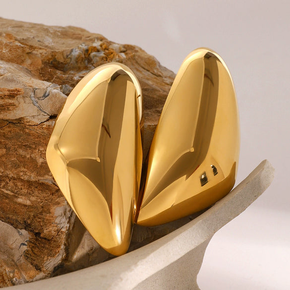 Wholesale Stainless Steel Drop Shaped Electroplated Light Luxury Women's Earrings