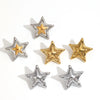Wholesale Stainless Steel Electroplated Starshaped Women's Personality Niche Earrings