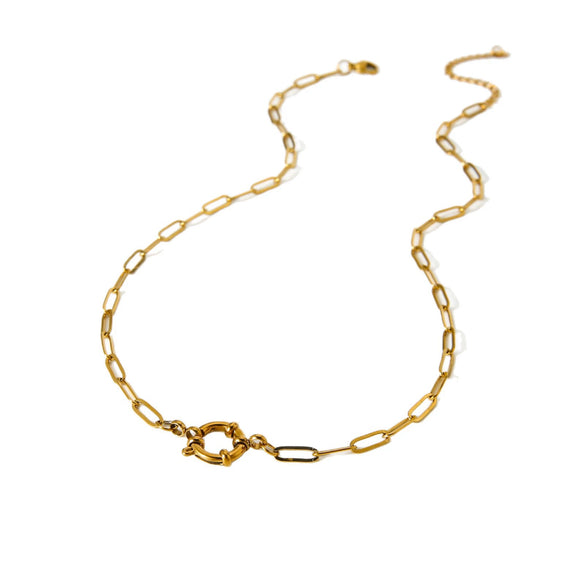 Wholesale Stainless Steel Geometric Animal Zodiac Pattern Electroplated Spring Clasp Chain Necklace For Women