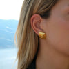 Wholesale Stainless Steel Geometric Earrings Electroplated For Women