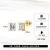 Wholesale Stainless Steel Geometric Electroplated Square Earrings And Ear Studs For Women And Men