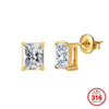 Wholesale Stainless Steel Geometric Electroplated Square Earrings And Ear Studs For Women And Men