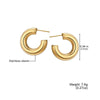 Wholesale Stainless Steel Geometric Electroplated Women's Fashionable Ear Studs