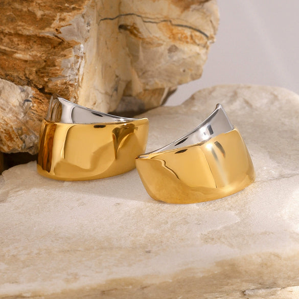 Wholesale Stainless Steel Geometric Exaggerated Earrings For Women Electroplated