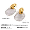 Wholesale Stainless Steel Geometric Exaggerated Electroplated Women's Earrings