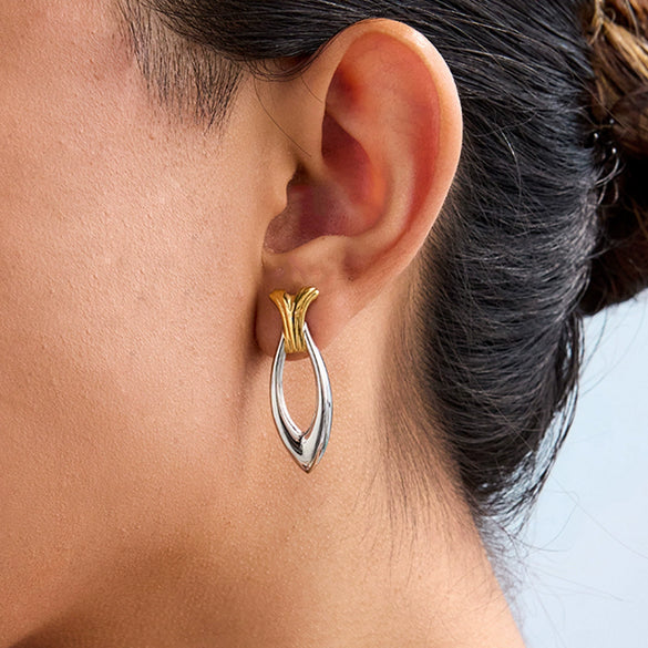Wholesale Stainless Steel Geometric Fish Earrings Electroplated Women's Jewelry