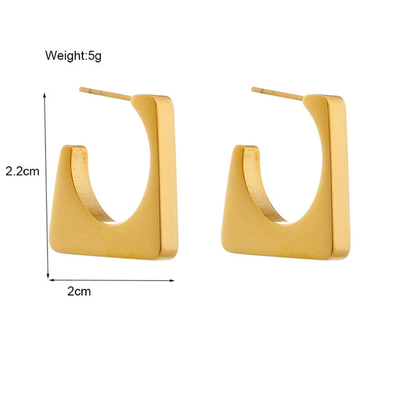 Wholesale Stainless Steel Geometric Irregular Electroplated Women's Earrings