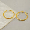 Wholesale Stainless Steel Geometric Spiral Pattern Electroplated Earrings For Women