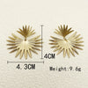Wholesale Stainless Steel Gold Plated Geometric Irregular Shape Electroplated Women's Earrings