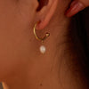 Wholesale Stainless Steel Plated Real Gold Natural Freshwater Pearl Geometric Earrings For Women