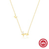Wholesale 925 Sterling Silver Geometric Butterfly Electroplated Minimalist Clavicle Necklace For Women