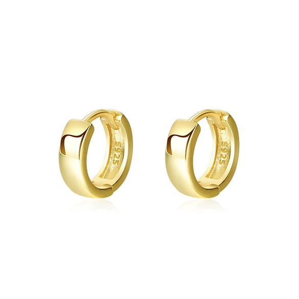 Wholesale 925 Sterling Silver Geometric Hoop Earrings For Women Electroplated Cold Style