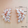 Wholesale Stud Earrings Copper Leaves Horse Eye Diamond Style For Women