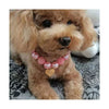 Wholesale Teddy Dog Pearl Necklace With Heart Pendant Hiphop Style Pet Collar Dog Accessories