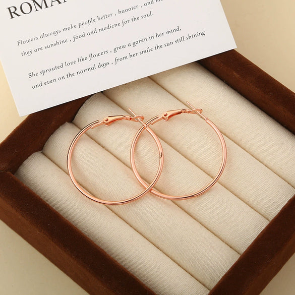 Wholesale Titanium Steel Electroplated Geometric Circle Earrings For Women