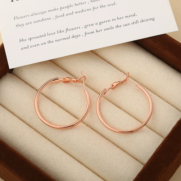 Wholesale Titanium Steel Electroplated Geometric Circle Earrings For Women