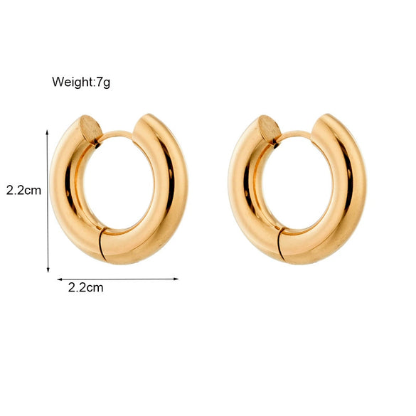 Wholesale Titanium Steel Geometric Bar And Round Ring Earrings For Men And Women