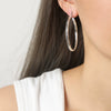 Wholesale 316L Stainless Steel Geometric Circle Electroplated Exaggerated Women's Earrings