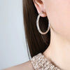 Wholesale 316L Stainless Steel Geometric Circle Electroplated Exaggerated Women's Earrings