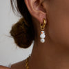 Wholesale Titanium Steel Geometric Earrings For Women Electroplated Light Luxury Jewelry