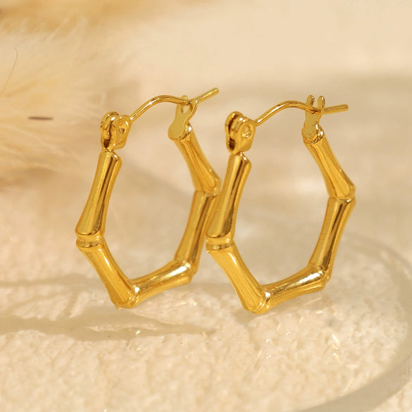 Wholesale 316L Stainless Steel Geometric Fashion Electroplated Women's Earrings