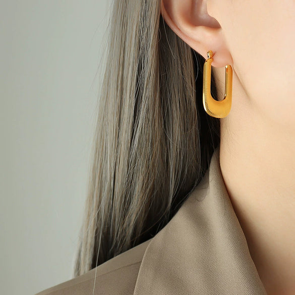 Wholesale Titanium Steel Geometric Rectangular Electroplated Women's Earrings