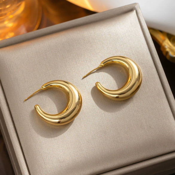 Wholesale Titanium Steel Geometric Retro Electroplated Women's Earrings