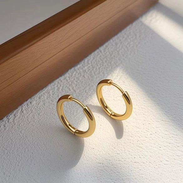 Wholesale Titanium Steel Geometric Style Women's Classic Earrings With Polishing Treatment