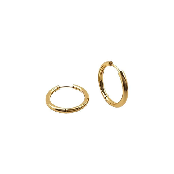 Wholesale Titanium Steel Geometric Style Women's Classic Earrings With Polishing Treatment