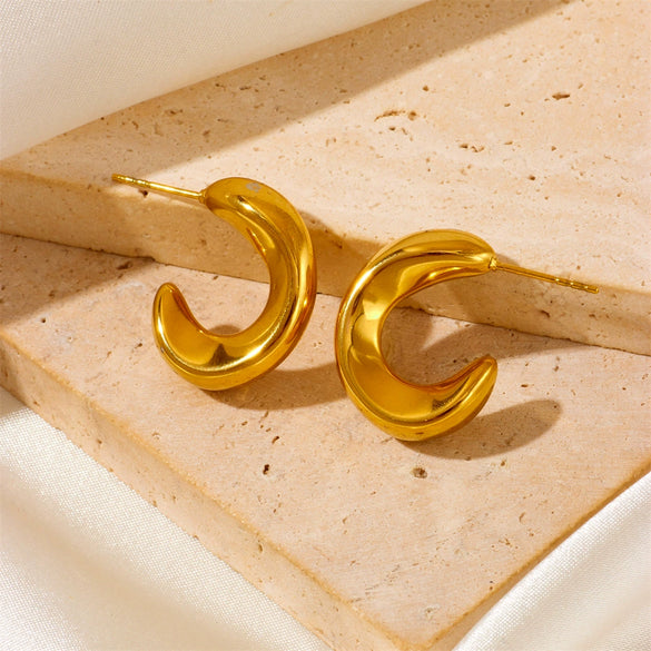 Wholesale Titanium Steel Geometric Vacuum Furnace Electroplating Earrings For Women