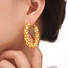 Wholesale 316L Stainless Steel Goldplated Geometric Ushape Earrings Jewelry Fashion Simple Niche Design