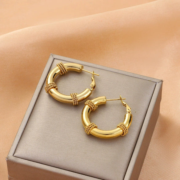 Wholesale Titanium Steel Nonfading Earrings With Geometric Pattern And Electroplating For Women