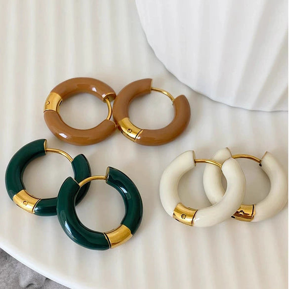 Wholesale Titanium Steel Ushaped Electroplated Earrings For Women Retro Style