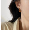 Wholesale Titanium Steel Ushaped Electroplated Earrings For Women Retro Style