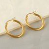 Wholesale Titanium Steel Women's Earrings With Geometric Spiral Pattern And Electroplating Treatment
