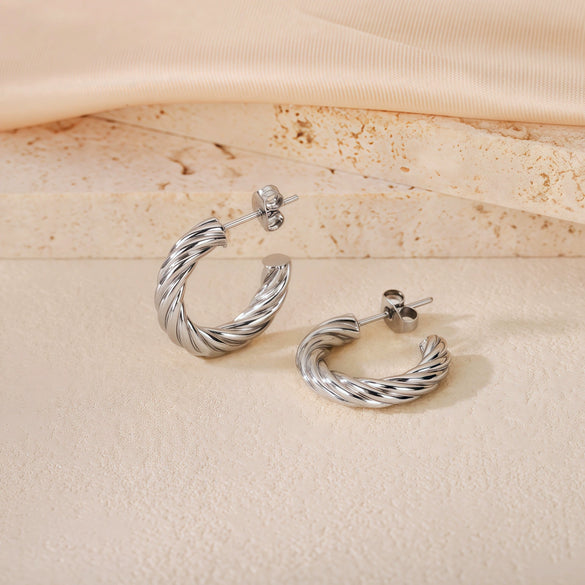 Wholesale Titanium Steel Women's Geometric Earrings Fashion Elegant Stereo Highend Polish Style