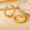 Wholesale Titanium Steel Women's Geometric Earrings Fashion Elegant Stereo Highend Polish Style