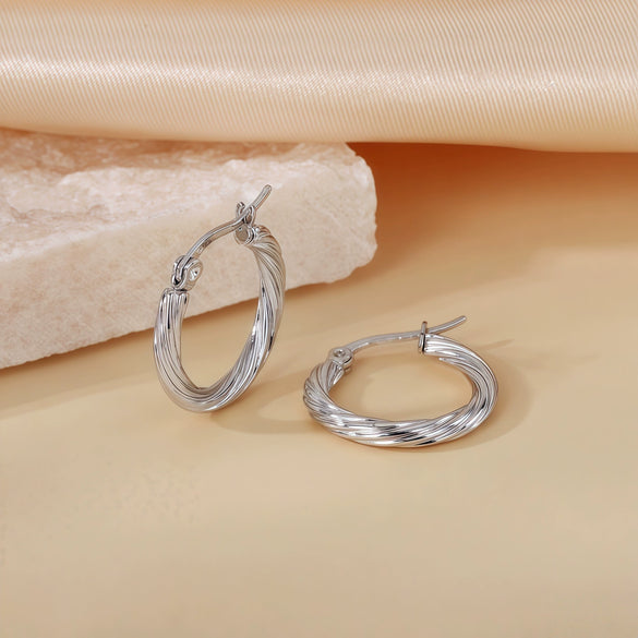 Wholesale Titanium Steel Women's Geometric Earrings Fashion Elegant Stereo Highend Polish Style