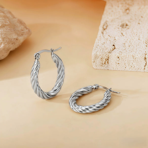 Wholesale Titanium Steel Women's Geometric Earrings Fashion Elegant Stereo Highend Polish Style
