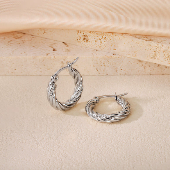 Wholesale Titanium Steel Women's Geometric Earrings Fashion Elegant Stereo Highend Polish Style