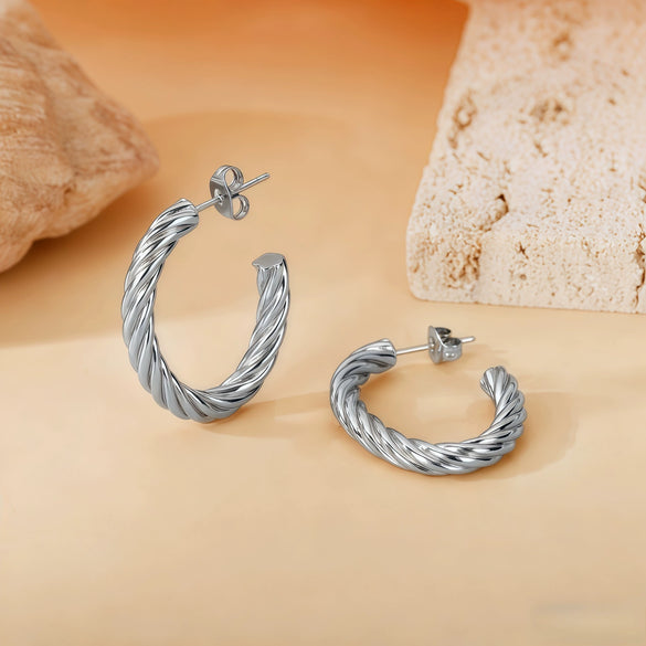 Wholesale Titanium Steel Women's Geometric Earrings Fashion Elegant Stereo Highend Polish Style