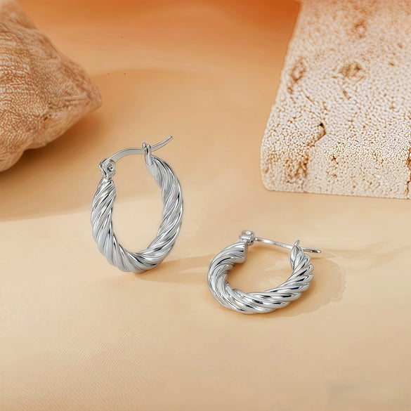 Wholesale Titanium Steel Women's Geometric Earrings Fashion Elegant Stereo Highend Polish Style