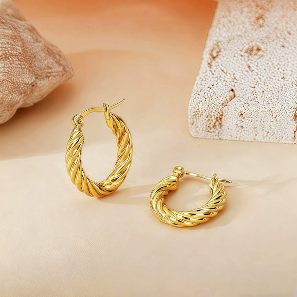 Wholesale Titanium Steel Women's Geometric Earrings Fashion Elegant Stereo Highend Polish Style