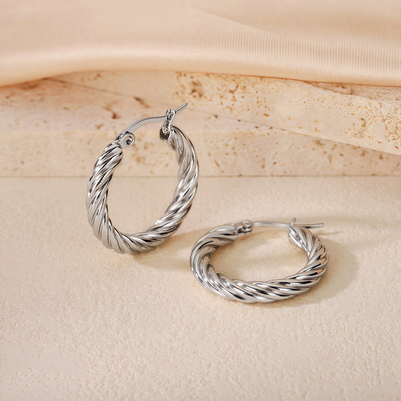 Wholesale Titanium Steel Women's Geometric Earrings Fashion Elegant Stereo Highend Polish Style